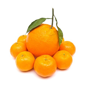 content-image